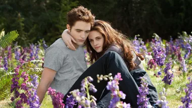 twilight still