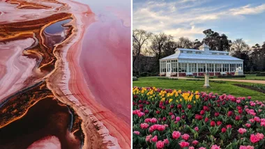 Split image: Left shows a colorful aerial view of a pink lake. Right shows a garden with tulips and a glasshouse.